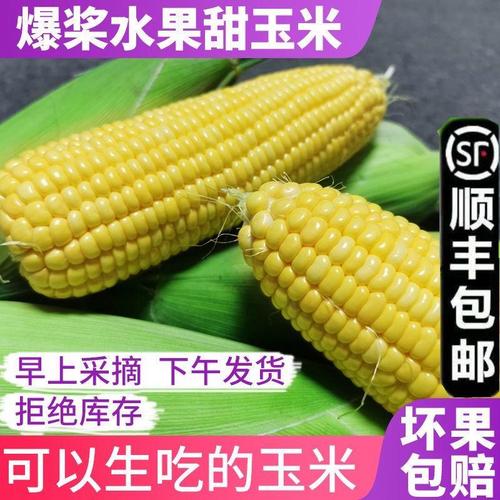 00/噸自家農(nóng)戶種植白糯玉米粒,長(zhǎng)期大量供應(yīng)!